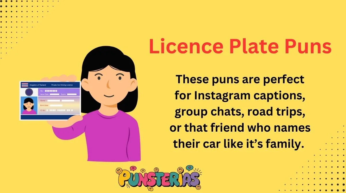 Licence Plate Puns